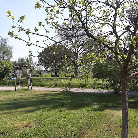 Aux Cadollines Bed & Breakfast Romenay Luaran gambar